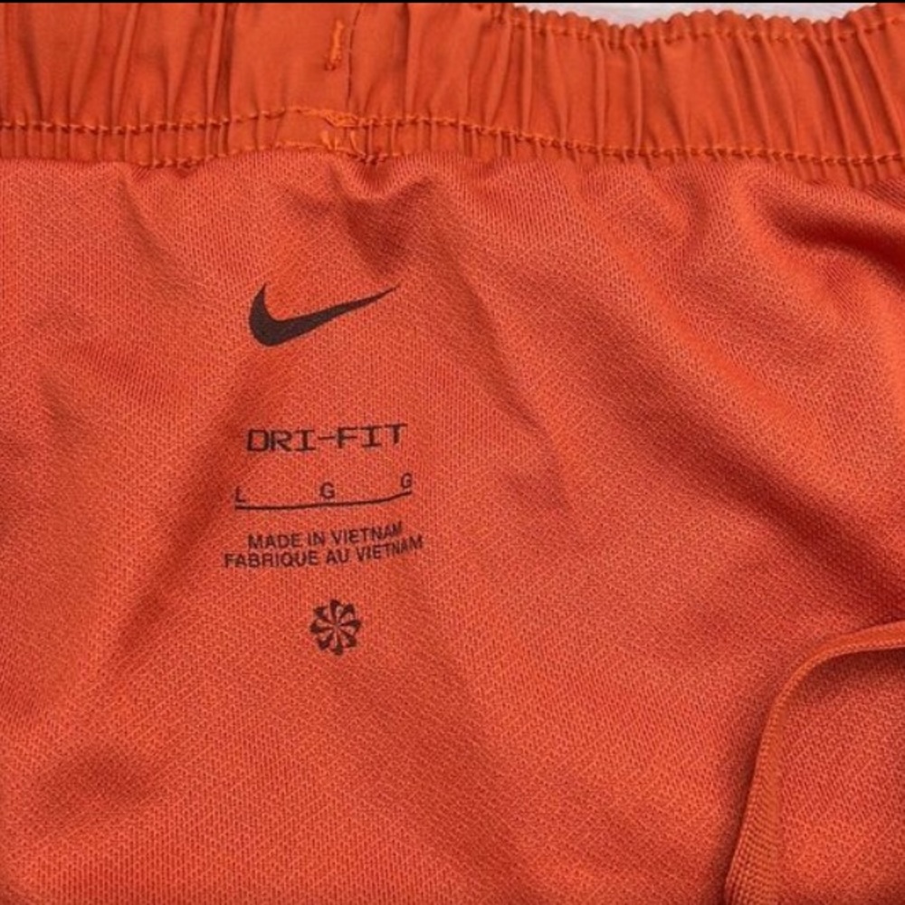 NWT, large Nike Dri Fit Tempo running shorts - Picture 3 of 4